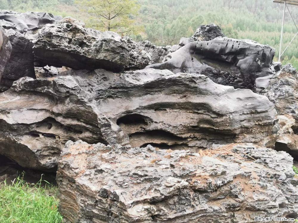 风景石、假山石大量有货，有需要的欢迎联系 - 新手上路 - 黄山生活社区 - 黄山28生活网 huangshan.28life.net