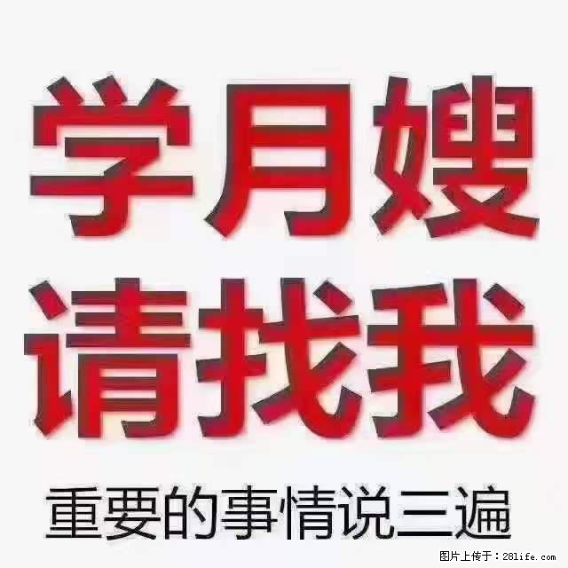 为什么要学习月嫂，育婴师？ - 其他广告 - 广告专区 - 黄山分类信息 - 黄山28生活网 huangshan.28life.net