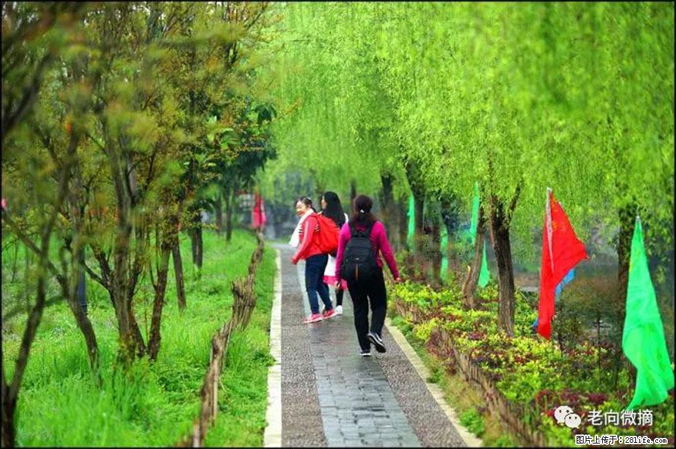 【春天，广西桂林灌阳县向您发出邀请！】江口老街又逢春 - 游山玩水 - 黄山生活社区 - 黄山28生活网 huangshan.28life.net