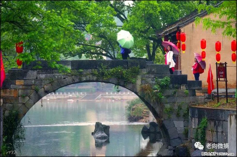 【春天，广西桂林灌阳县向您发出邀请！】江口老街又逢春 - 游山玩水 - 黄山生活社区 - 黄山28生活网 huangshan.28life.net