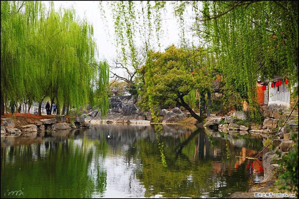 【春天，广西桂林灌阳县向您发出邀请！】江口老街又逢春 - 游山玩水 - 黄山生活社区 - 黄山28生活网 huangshan.28life.net