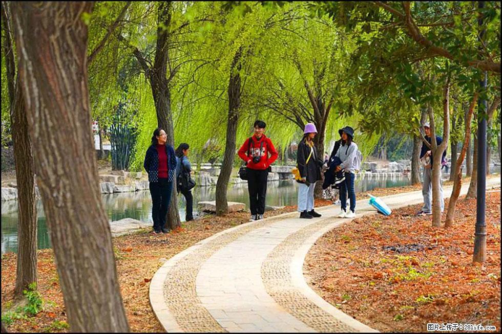 【春天，广西桂林灌阳县向您发出邀请！】江口老街又逢春 - 游山玩水 - 黄山生活社区 - 黄山28生活网 huangshan.28life.net