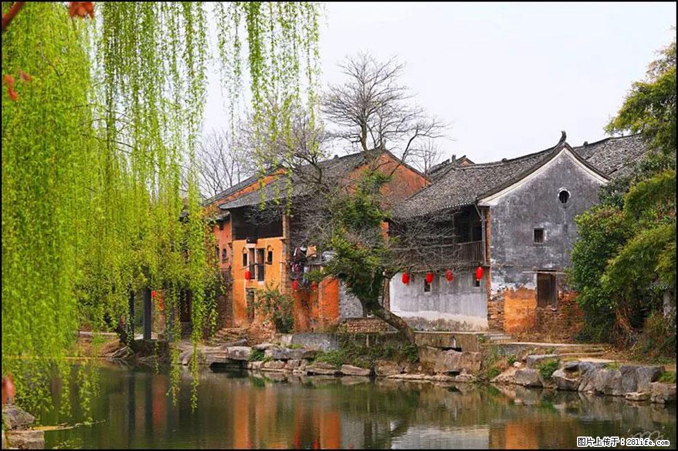 【春天，广西桂林灌阳县向您发出邀请！】江口老街又逢春 - 游山玩水 - 黄山生活社区 - 黄山28生活网 huangshan.28life.net