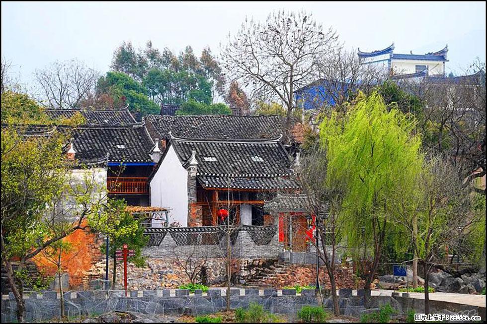 【春天，广西桂林灌阳县向您发出邀请！】江口老街又逢春 - 游山玩水 - 黄山生活社区 - 黄山28生活网 huangshan.28life.net