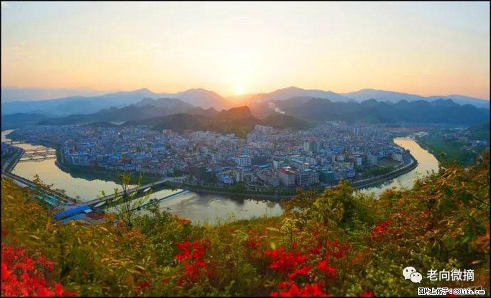 【春天，广西桂林灌阳县向您发出邀请！】登麒麟山，相约映山红 - 游山玩水 - 黄山生活社区 - 黄山28生活网 huangshan.28life.net