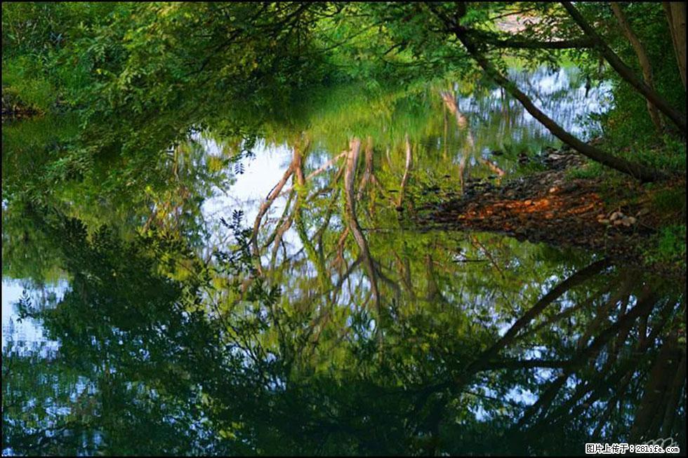 【春天，广西桂林灌阳县向您发出邀请！】熊家寨湿地公园 - 游山玩水 - 黄山生活社区 - 黄山28生活网 huangshan.28life.net
