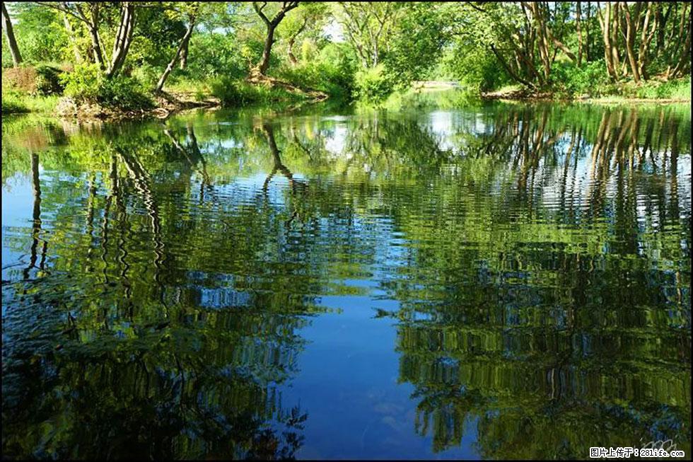 【春天，广西桂林灌阳县向您发出邀请！】熊家寨湿地公园 - 游山玩水 - 黄山生活社区 - 黄山28生活网 huangshan.28life.net