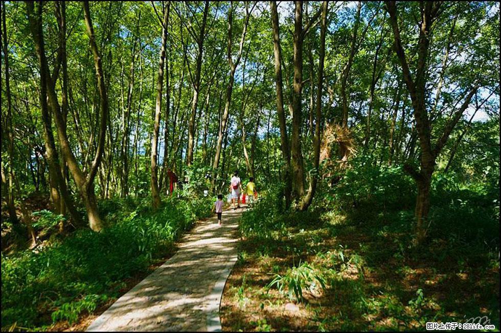 【春天，广西桂林灌阳县向您发出邀请！】熊家寨湿地公园 - 游山玩水 - 黄山生活社区 - 黄山28生活网 huangshan.28life.net