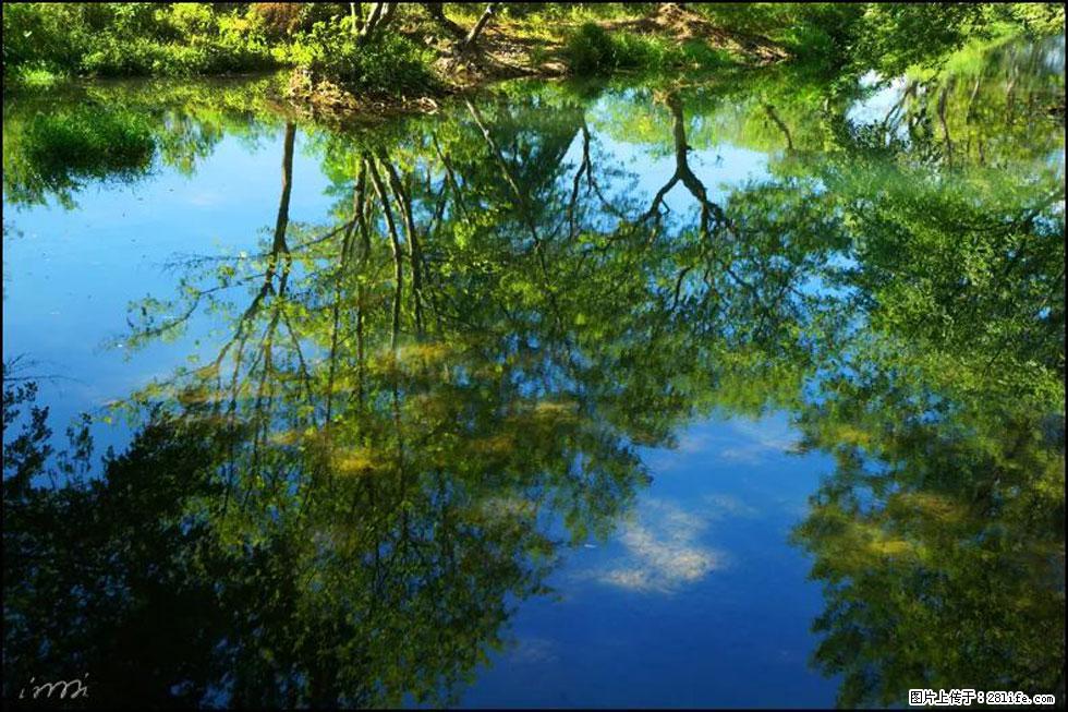 【春天，广西桂林灌阳县向您发出邀请！】熊家寨湿地公园 - 游山玩水 - 黄山生活社区 - 黄山28生活网 huangshan.28life.net