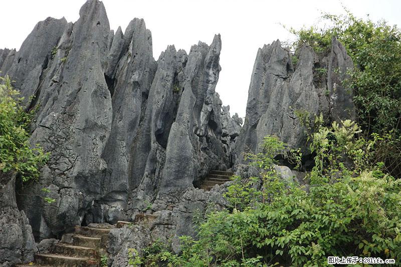 桂林旅游名城景点：灌阳文市石林 - 游山玩水 - 黄山生活社区 - 黄山28生活网 huangshan.28life.net