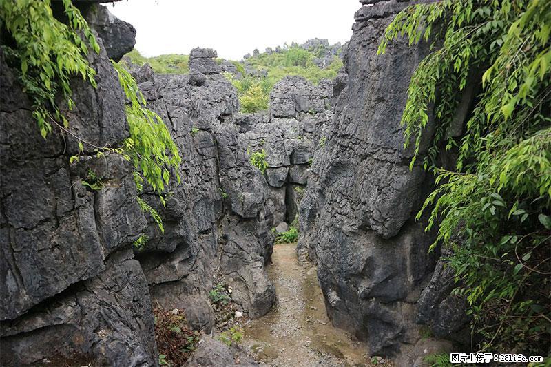 桂林旅游名城景点：灌阳文市石林 - 游山玩水 - 黄山生活社区 - 黄山28生活网 huangshan.28life.net