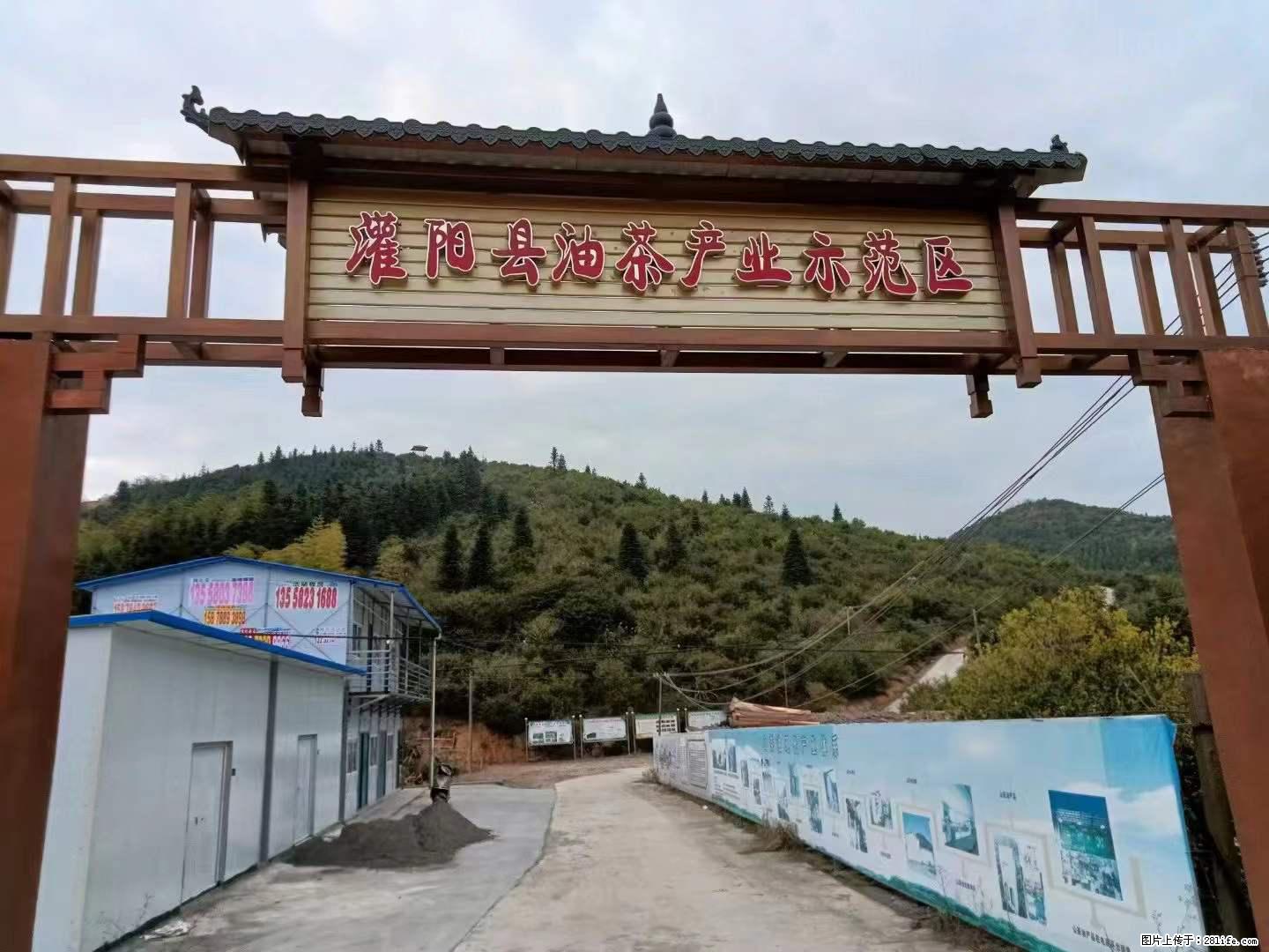 【灌阳县油茶产业示范区】一个有着充实的精神生活的人，对待身外之物自会有一种淡泊的态度 - 土特产 - 饮食特产 - 黄山分类信息 - 黄山28生活网 huangshan.28life.net