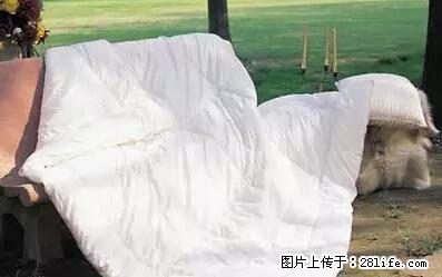 被子有异味？只要这样做，比晒太阳还强100倍！ - 家居生活 - 黄山生活社区 - 黄山28生活网 huangshan.28life.net
