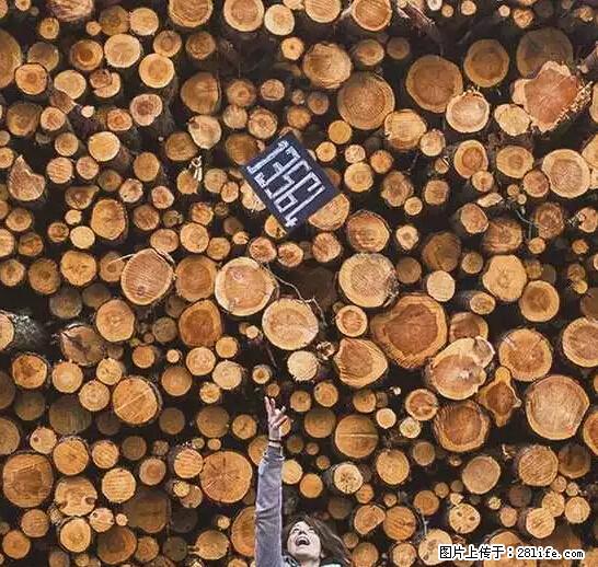 辞掉工作周游世界？现在他们在洗厕所…… - 游山玩水 - 黄山生活社区 - 黄山28生活网 huangshan.28life.net