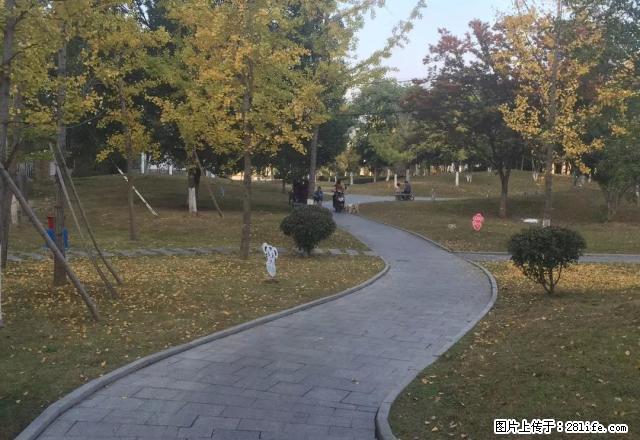 元一大观规整一室一厅出租，家具家电齐全，拎包入住 - 房屋出租 - 房屋租售 - 黄山分类信息 - 黄山28生活网 huangshan.28life.net