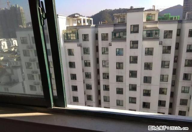 永辉超市附近金太阳隔壁鼎天家园精装朝南公寓全新装修 - 房屋出租 - 房屋租售 - 黄山分类信息 - 黄山28生活网 huangshan.28life.net
