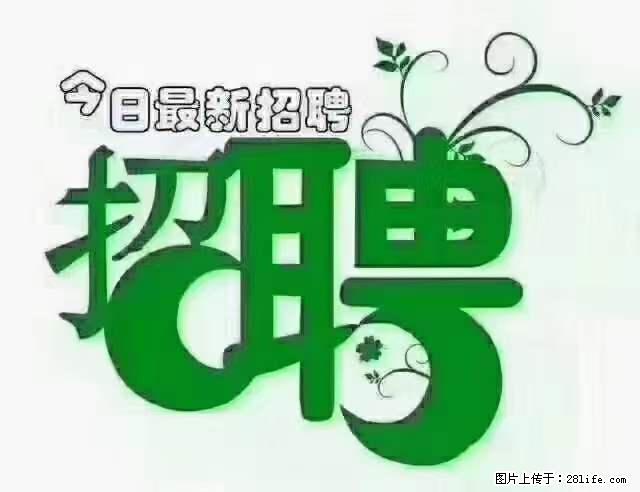 【招聘摄像师】待遇：试用期6000元/月，转正7000元/月+五险一金+餐补+节日福利+奖金 - 其他招聘信息 - 招聘求职 - 黄山分类信息 - 黄山28生活网 huangshan.28life.net