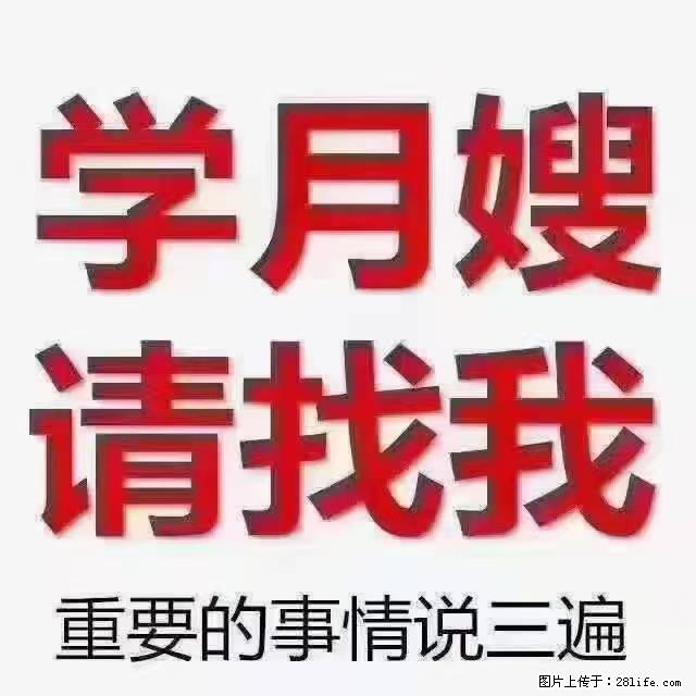【招聘】月嫂，上海徐汇区 - 职场交流 - 黄山生活社区 - 黄山28生活网 huangshan.28life.net