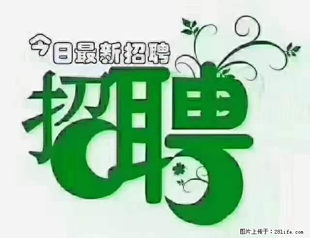 上海隔离酒店招人：55岁以下 男女不限 - 职场交流 - 黄山生活社区 - 黄山28生活网 huangshan.28life.net