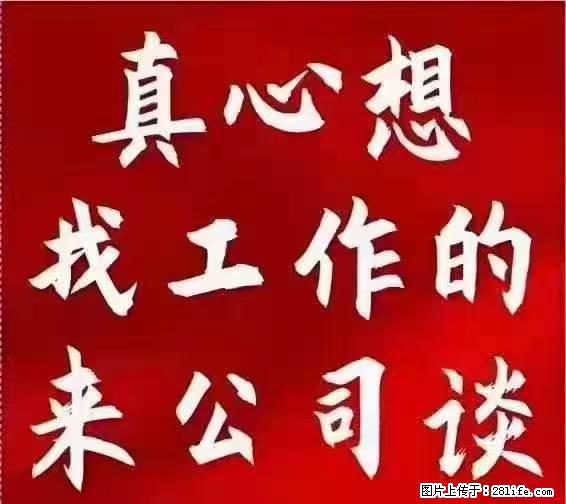 【上海】国企，医院招两名男保安，55岁以下，身高1.7米以上，无犯罪记录不良嗜好 - 职场交流 - 黄山生活社区 - 黄山28生活网 huangshan.28life.net