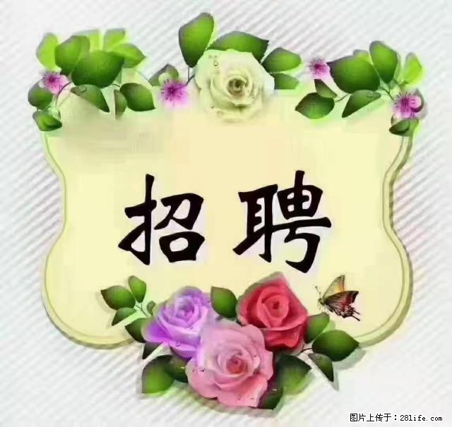 【招聘】住家育儿嫂，上户日期：4月4日，工作地址：上海 黄浦区 - 职场交流 - 黄山生活社区 - 黄山28生活网 huangshan.28life.net