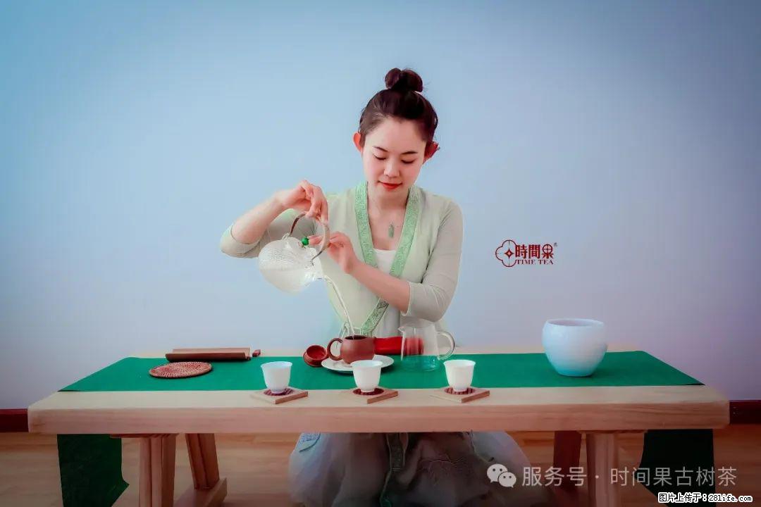 时间果百年古树龙珠普洱生茶 - 购物交流 - 黄山生活社区 - 黄山28生活网 huangshan.28life.net