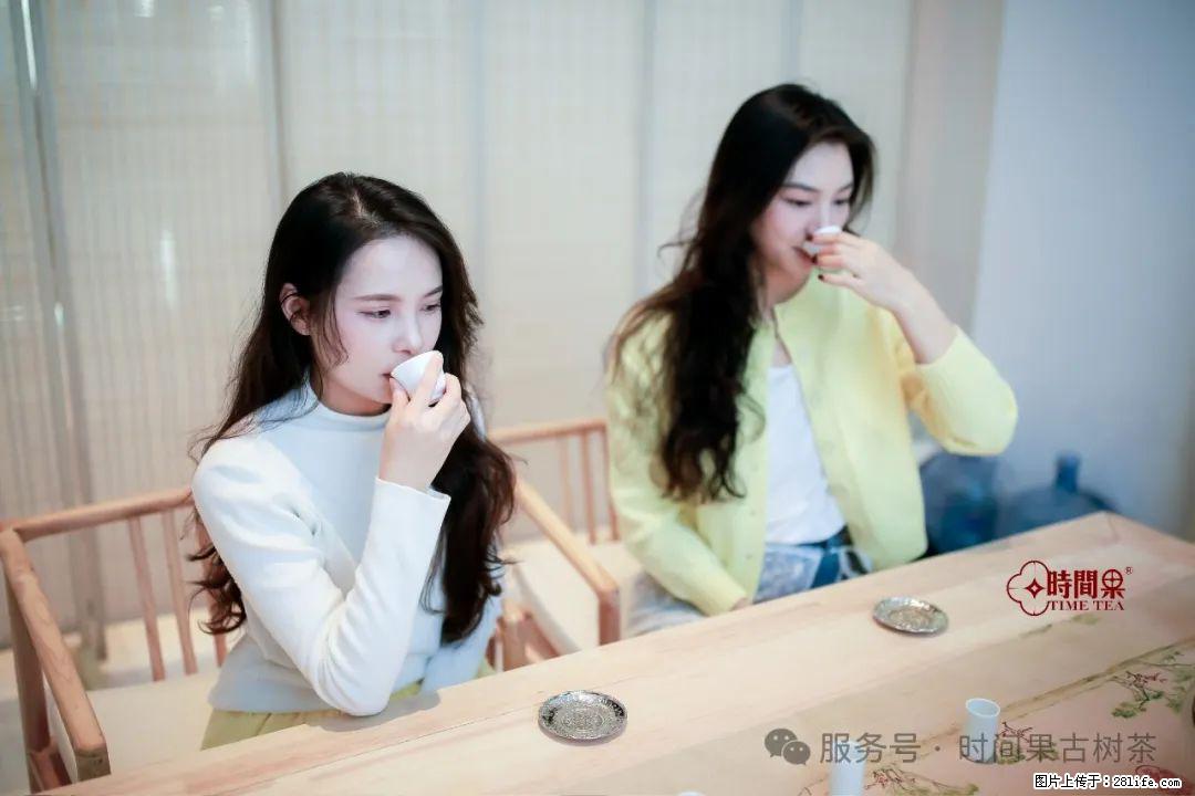 时间果百年古树龙珠普洱生茶 - 购物交流 - 黄山生活社区 - 黄山28生活网 huangshan.28life.net