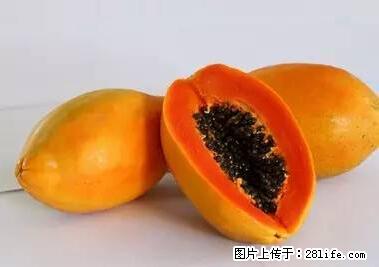 晕车、脚气、牙齿变黄、皮肤粗糙？学会这些三分钟搞定！ - 黄山生活资讯 - 黄山28生活网 huangshan.28life.net