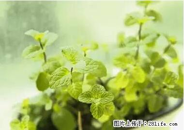 晕车、脚气、牙齿变黄、皮肤粗糙？学会这些三分钟搞定！ - 黄山生活资讯 - 黄山28生活网 huangshan.28life.net