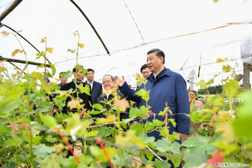 习近平赴广西考察调研 - 黄山生活资讯 - 黄山28生活网 huangshan.28life.net