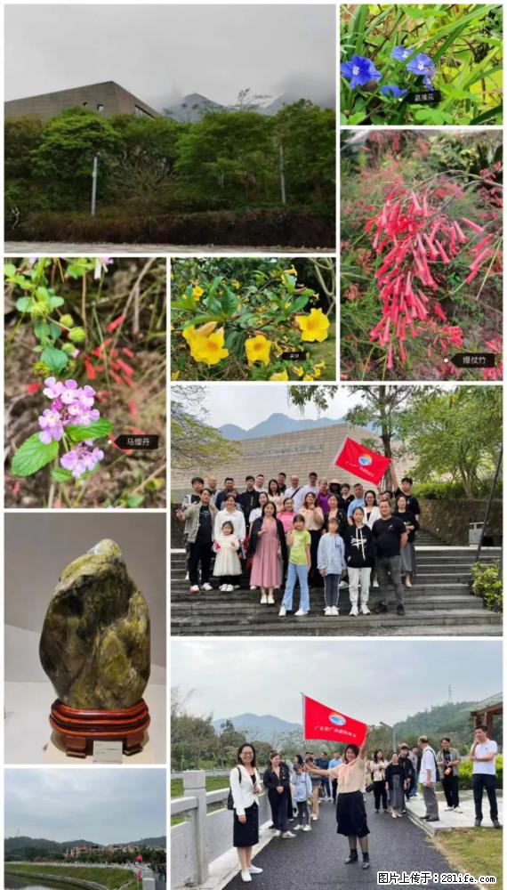 “粤灌文化 美好生活”油茶文化主题活动在广东深圳成功举办 - 黄山生活资讯 - 黄山28生活网 huangshan.28life.net