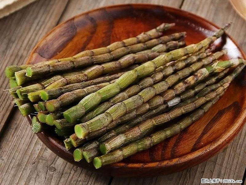 铁皮石斛的作用与功能主治 - 黄山生活资讯 - 黄山28生活网 huangshan.28life.net